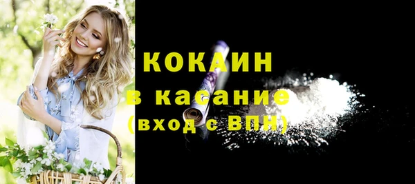 сатива Алзамай