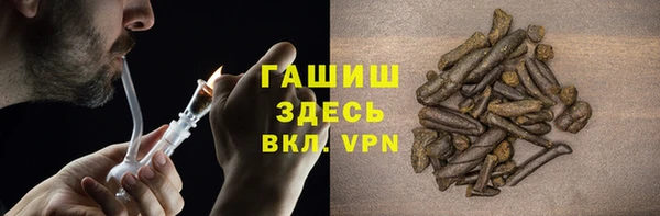 сатива Алзамай