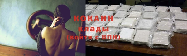 спайс Алексин