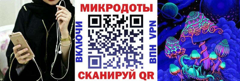 Псилоцибиновые грибы Psilocybine cubensis  Краснообск 